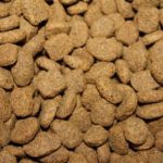 kibble-855419__340